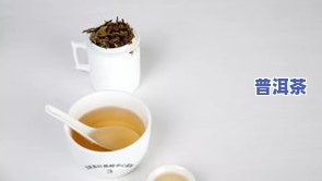 厦门特色普洱茶有哪些品种的，探寻厦门特色：揭秘普洱茶的多种品种