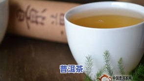 普洱茶十大经典茶叶品种图片大全与价格一览