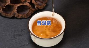 普洱茶笋壳长毛还能饮用吗？有无性及影响解析