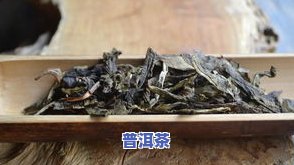 普洱茶笋壳长毛-普洱茶笋壳长毛还能喝吗