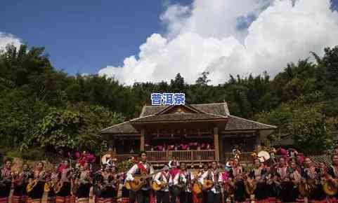 大黑山生普：揭秘勐海特色普洱茶的魅力与特点