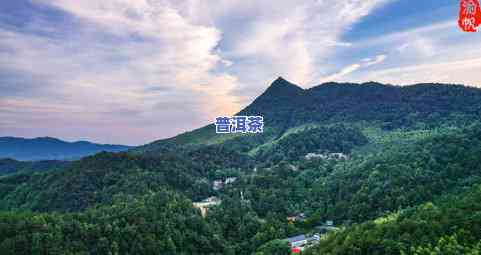 大黑山普洱茶在哪里卖的-大黑山普洱茶在哪里卖的好