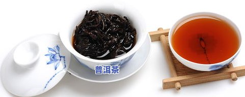 四季春普洱茶：价格一览与品鉴指南