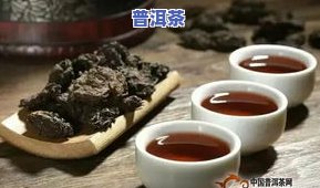 普洱茶正确煮法：从茶叶选择到口感提升全攻略