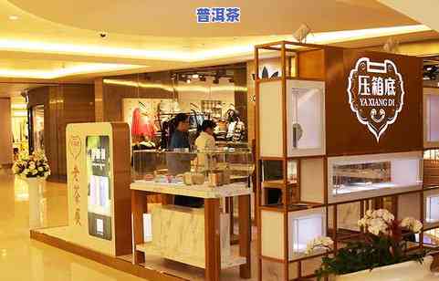 日照普洱茶专卖店：地址、电话及推荐店铺全攻略