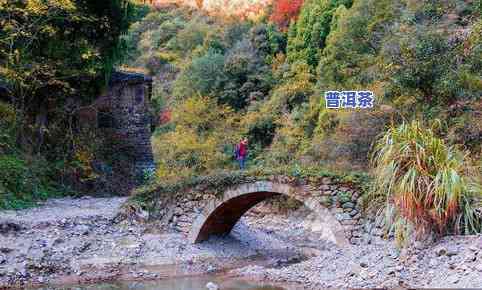 临海茶叶有哪些-临海茶叶有哪些好