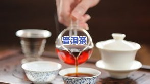 普洱茶金边玫瑰：种类、特点及能否混饮全解析