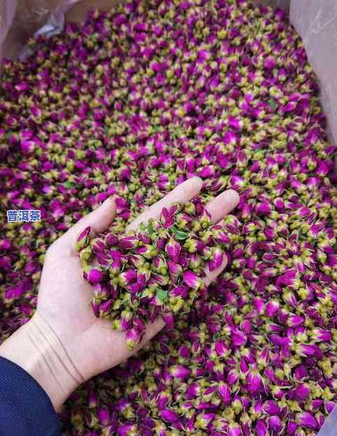 普洱茶金边玫瑰-普洱茶金边玫瑰花