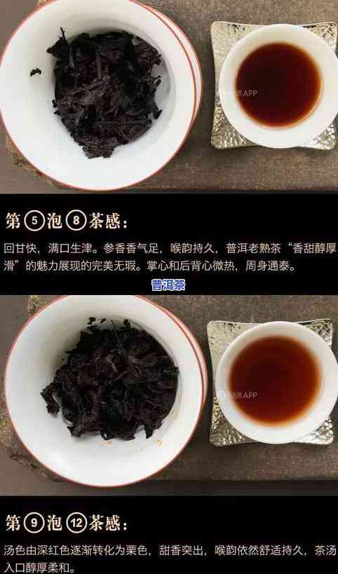 普洱茶视频-普洱茶视频介绍