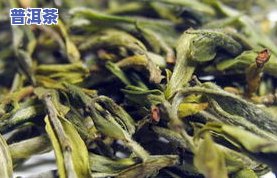 福建南安名优茶茶叶获奖公示：南安名茶村及一览