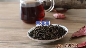 如何给普洱茶合作社起个好听的名字？