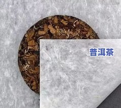 普洱茶为何出现虫咬棉纸？探究其原因与影响