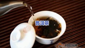 怎样再淘宝买普洱茶呢视频讲解：教程 推荐优质茶叶