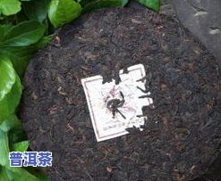 深山普洱的功效与价格：揭秘357克秘境古树生茶