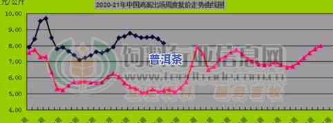 普洱茶价格暴跌：原因、最新消息与市场走势分析