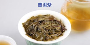 蒸普洱茶：好还是不好泡熟？