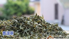 普洱茶好在-普洱茶好在哪里