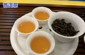 什么牌子普洱茶高端一点-什么牌子普洱茶高端一点的