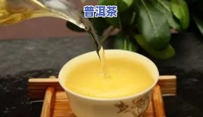 比较好的普洱茶排行榜前十名：揭秘茶叶界的佼佼者