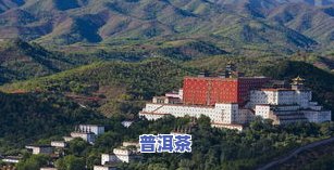 承德卖茶叶的地方：全面了解承德茶叶场与推荐地点