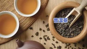 肾炎可不可以喝茶？专家解析茶叶对肾脏的影响