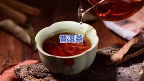 肾炎可不可以喝茶？专家解析茶叶对肾脏的影响