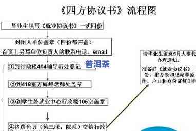 全面解析：普洱茶审评流程、步骤与图表