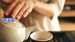 普洱茶审核起因-普洱茶审评流程