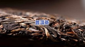 茶油普洱茶-茶油 普洱