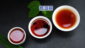 新手到山头买普洱茶可以吗？女生入门必看！新手推荐几款性价比高的普洱茶