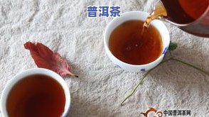 全程揭秘：普洱茶龙珠的精致制作过程