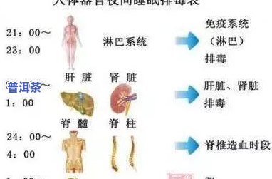 普洱茶可排排宿便：有效帮助改善便秘问题