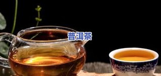 潮汕普洱茶：品种、价格与饮用习惯全解析