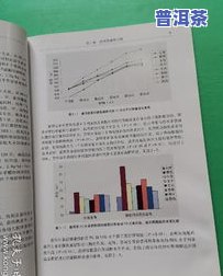 探究冰岛一号普洱茶的功效及其市场价格