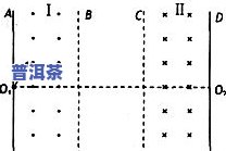 茶叶的长度与宽度：尺寸、直径比较及常见规格