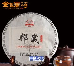 龙润茶，探索健康生活：熟悉龙润茶的茶叶产品与文化