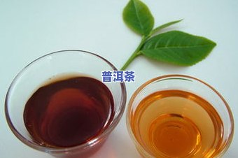 普洱茶88青饼是什么意思，解密普洱茶88青饼：含义与特点