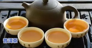 熟普洱是哪一年研发的，探秘历史：熟普洱茶的研发年份