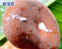 碎银子含黄曲霉菌？可能有，不宜食用