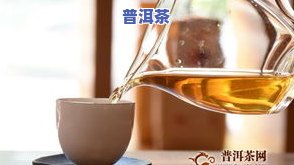 普洱茶属于什么茶？是凉性还是热性？