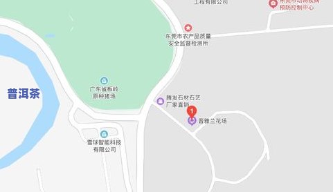 聊城普洱茶基地位置：详细解答及山东茶叶场的相关信息