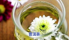 全面解析：金钱草泡茶的功效、作用、禁忌与副作用