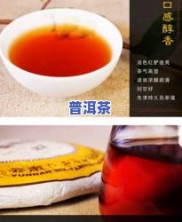 几款普洱茶的口粮茶推荐及介绍