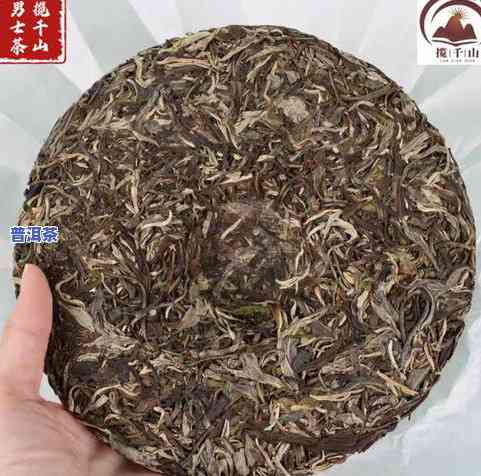 普洱茶放置时间越长越好吗？影响口感与价值的因素解析