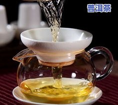 金芽茶砖是生普还是熟普-金芽茶砖是生普还是熟普茶