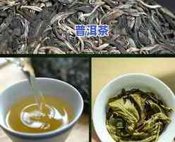 普洱茶知识介绍-普洱茶的介绍及相关知识