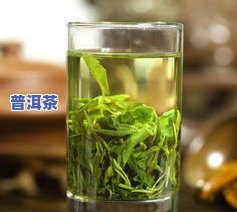 全面解析：绿茶与普洱茶的区别、特点及功效，哪个更好喝？