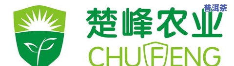 茶叶食用农产品标签标识规定最新版：全面解读与实操指南