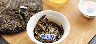 兰花香普洱：探索其特性与代表茶品，从生茶到熟茶的全面解析