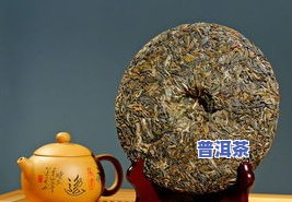 普洱茶为什么有虫眼？原因、味道及影响全面解析